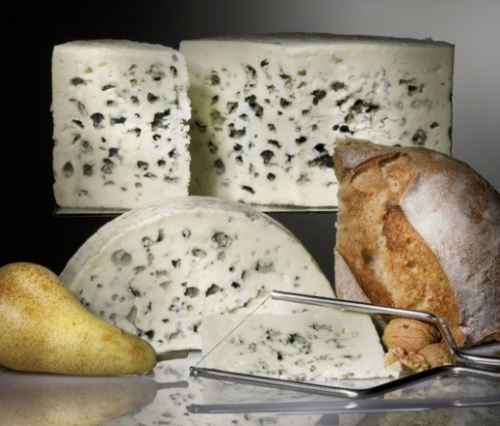 Roquefort, un village un fromage